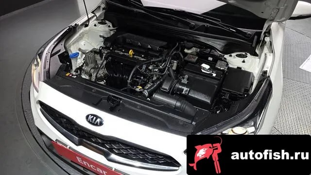 Kia K3 Come New K3 2020 года - вид 6