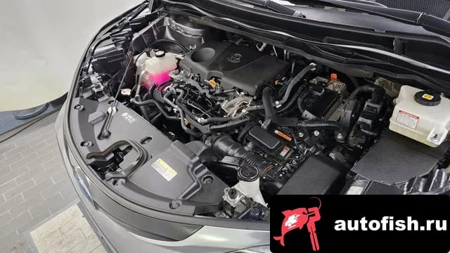 Toyota Sienna Siena 4th Generation 2021 года - вид 6