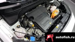 Миниатюра 6