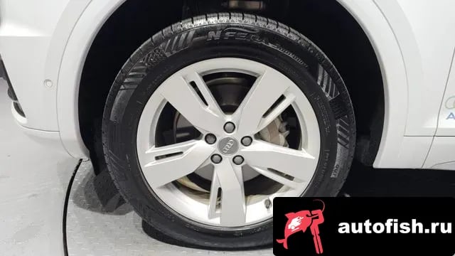 Audi Q5 Q5 (FY) 2020 года - вид 5