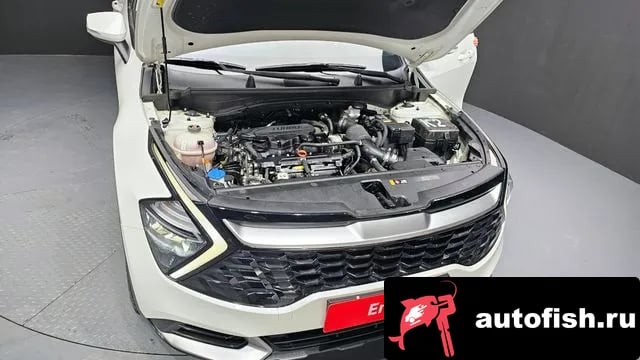 Kia Sportage Sportage 5th Generation 2024 года - вид 6