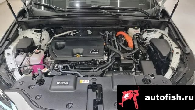 Lexus NX NX350h Second generation 2024 года - вид 6