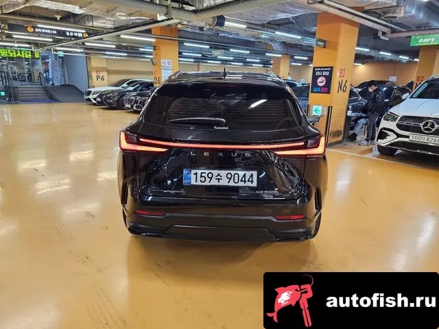 Lexus NX NX350h Second generation 2025 года - вид 4