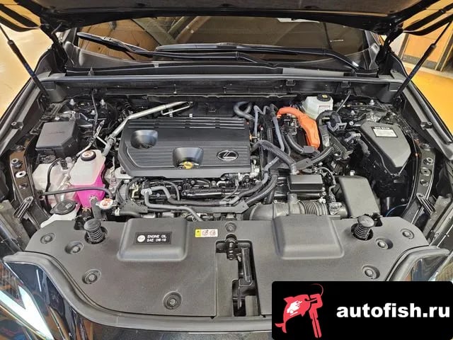 Lexus NX NX350h Second generation 2025 года - вид 6