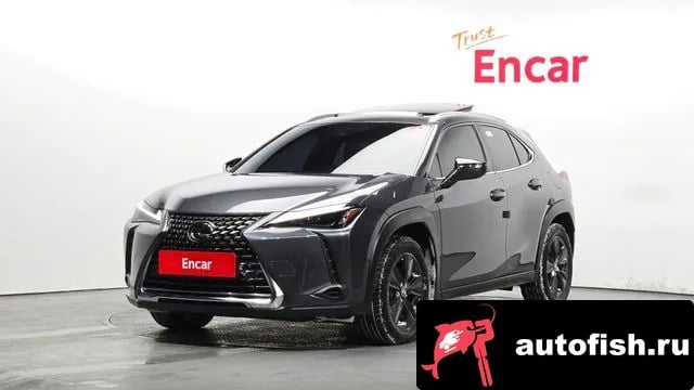 Lexus UX UX250h 2023 года - вид 1