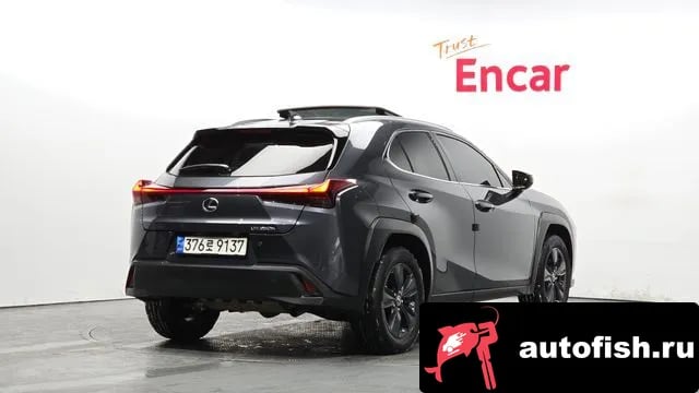 Lexus UX UX250h 2023 года - вид 2