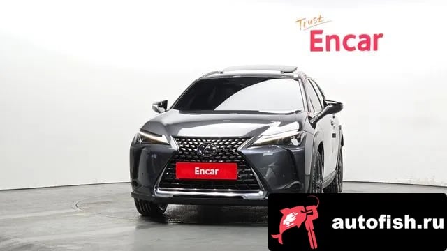 Lexus UX UX250h 2023 года - вид 3