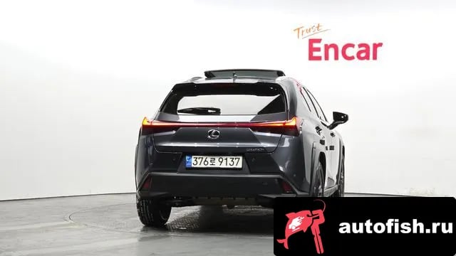 Lexus UX UX250h 2023 года - вид 4