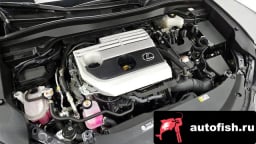 Миниатюра 6