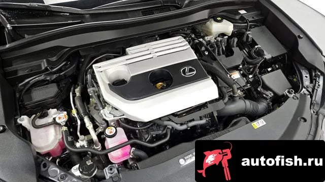 Lexus UX UX250h 2023 года - вид 6