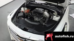 Миниатюра 6