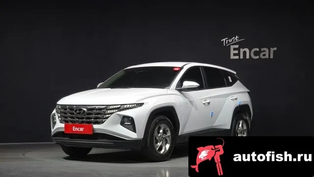 Hyundai Tucson Tucson (NX4) 2023 года - вид 1