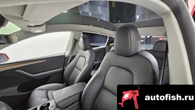 Tesla Model Y Model Y 2024 года - похожие автомобили
