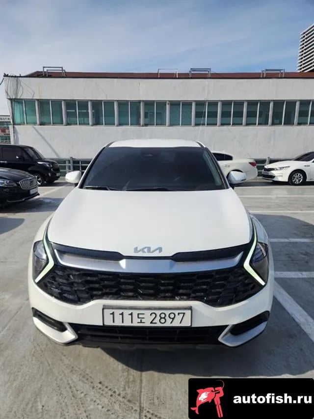 Kia Sportage Sportage 5th Generation 2024 года - вид 1