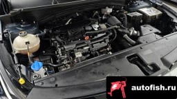 Миниатюра 6