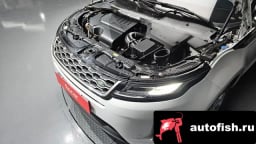 Миниатюра 6