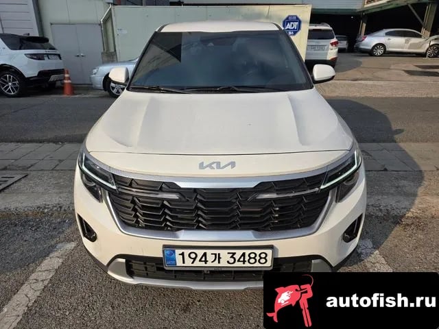 Kia Seltos The New Celtos 2024 года - вид 1