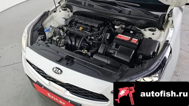 Kia K3 Come New K3 2019 года - вид 6