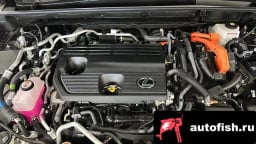 Миниатюра 6