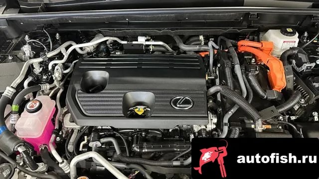 Lexus NX NX450h + 2nd generation 2024 года - вид 6