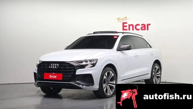 Audi Q8 Q8 (4M) 2023 года - вид 1