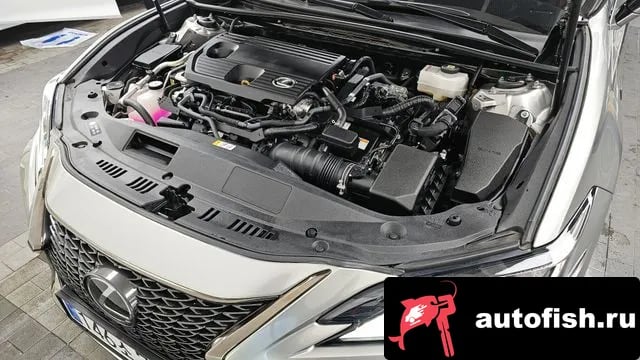 Lexus ES ES300h 7th generation 2024 года - вид 6