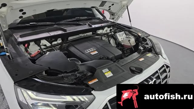 Audi Q5 Q5 (FY) 2022 года - вид 6