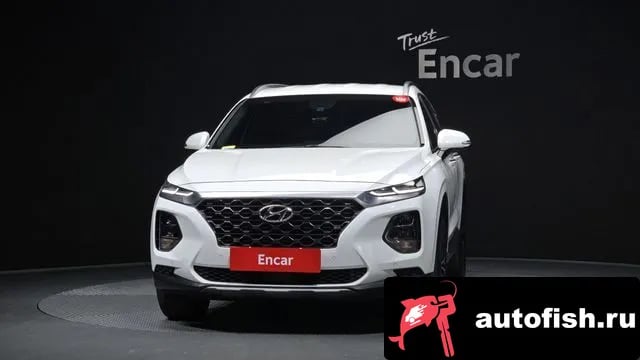 Hyundai Santafe San Tafe TM 2019 года - вид 3