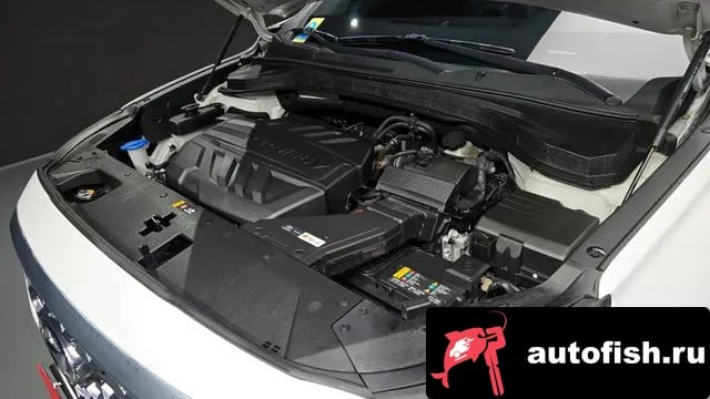 Hyundai Santafe San Tafe TM 2019 года - вид 6