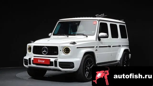 Mercedes-Benz G-Class G-Class W463b 2020 года - вид 1