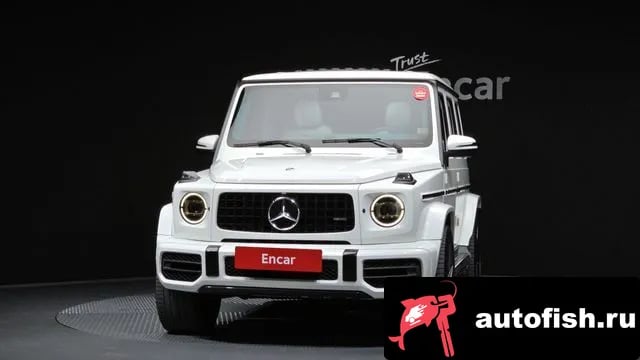 Mercedes-Benz G-Class G-Class W463b 2020 года - вид 3