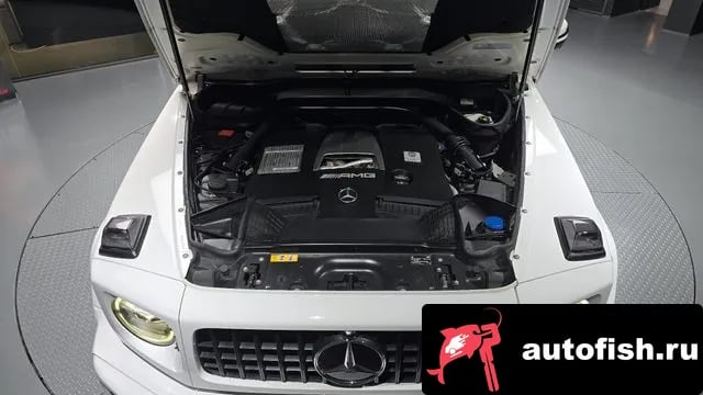 Mercedes-Benz G-Class G-Class W463b 2020 года - вид 6