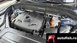 Миниатюра 6