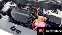 Миниатюра 6