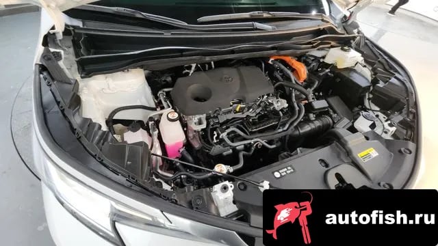 Toyota Sienna Siena 4th Generation 2023 года - вид 6