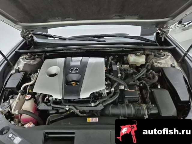 Lexus ES ES300h 7th generation 2020 года - вид 5