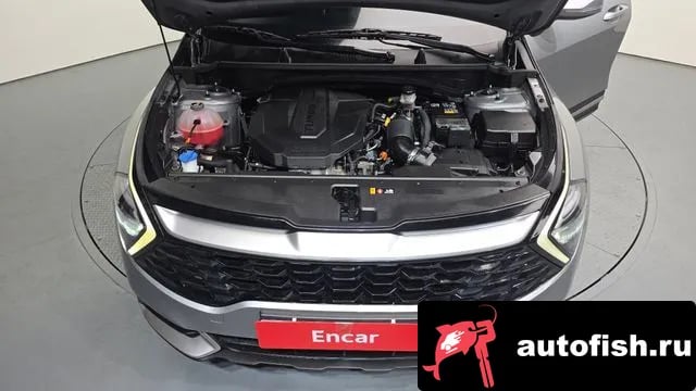 Kia Sportage Sportage 5th Generation 2023 года - вид 6