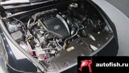 Миниатюра 6