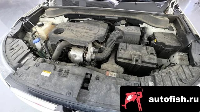 KG Mobility (Ssangyong) KORANDO Beautiful Korando 2022 года - вид 6