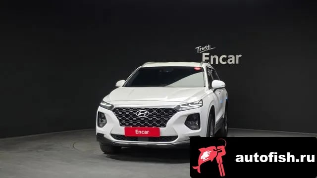 Hyundai Santafe San Tafe TM 2019 года - вид 3