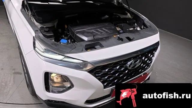 Hyundai Santafe San Tafe TM 2019 года - вид 6