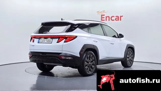 Hyundai Tucson Tucson (NX4) 2023 года - вид 2