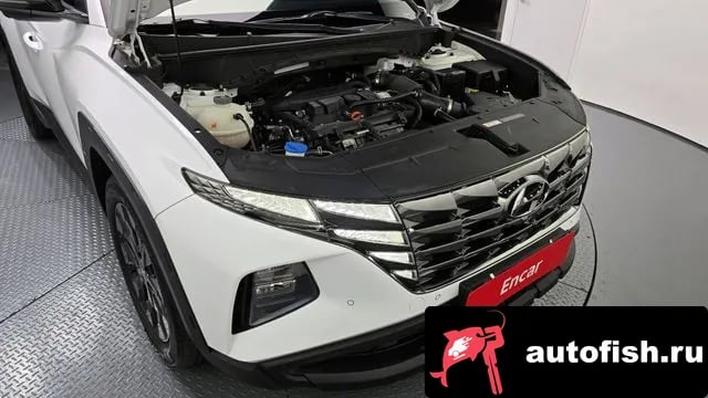 Hyundai Tucson Tucson (NX4) 2023 года - вид 6