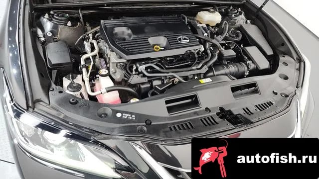 Lexus ES ES300h 7th generation 2022 года - вид 6