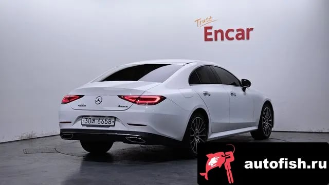 Mercedes-Benz CLS-Class CLS-Class C257 2019 года - вид 2