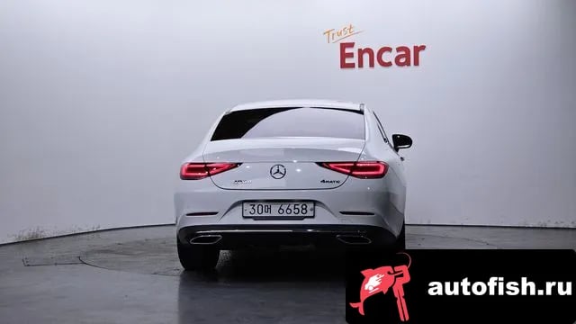 Mercedes-Benz CLS-Class CLS-Class C257 2019 года - вид 4