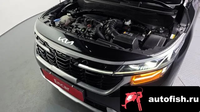 Kia Seltos The New Celtos 2023 года - вид 6