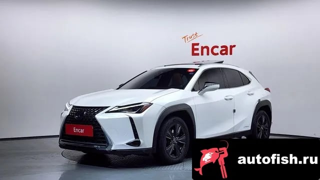 Lexus UX UX250h 2019 года - вид 1