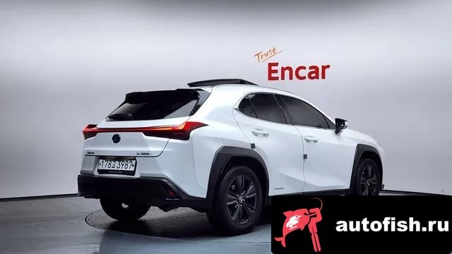 Lexus UX UX250h 2019 года - вид 2