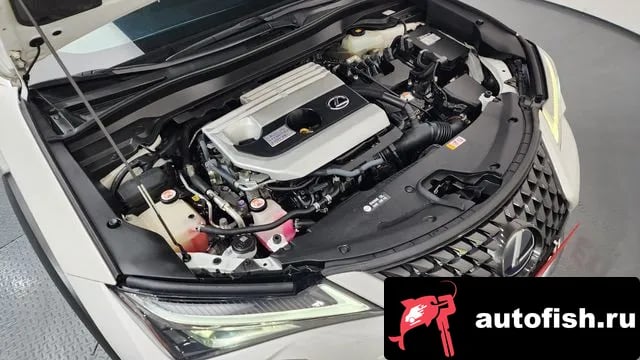 Lexus UX UX250h 2019 года - вид 6